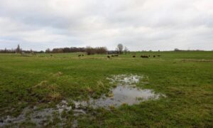 Veenweide Moordrecht
